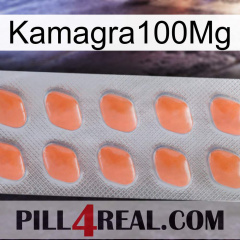 Kamagra100Mg 26